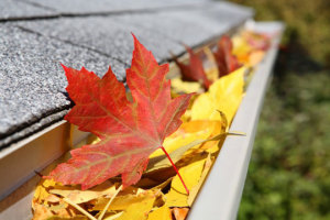 San Diego Fall Home Maintenance