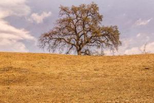 water restrictions san diego